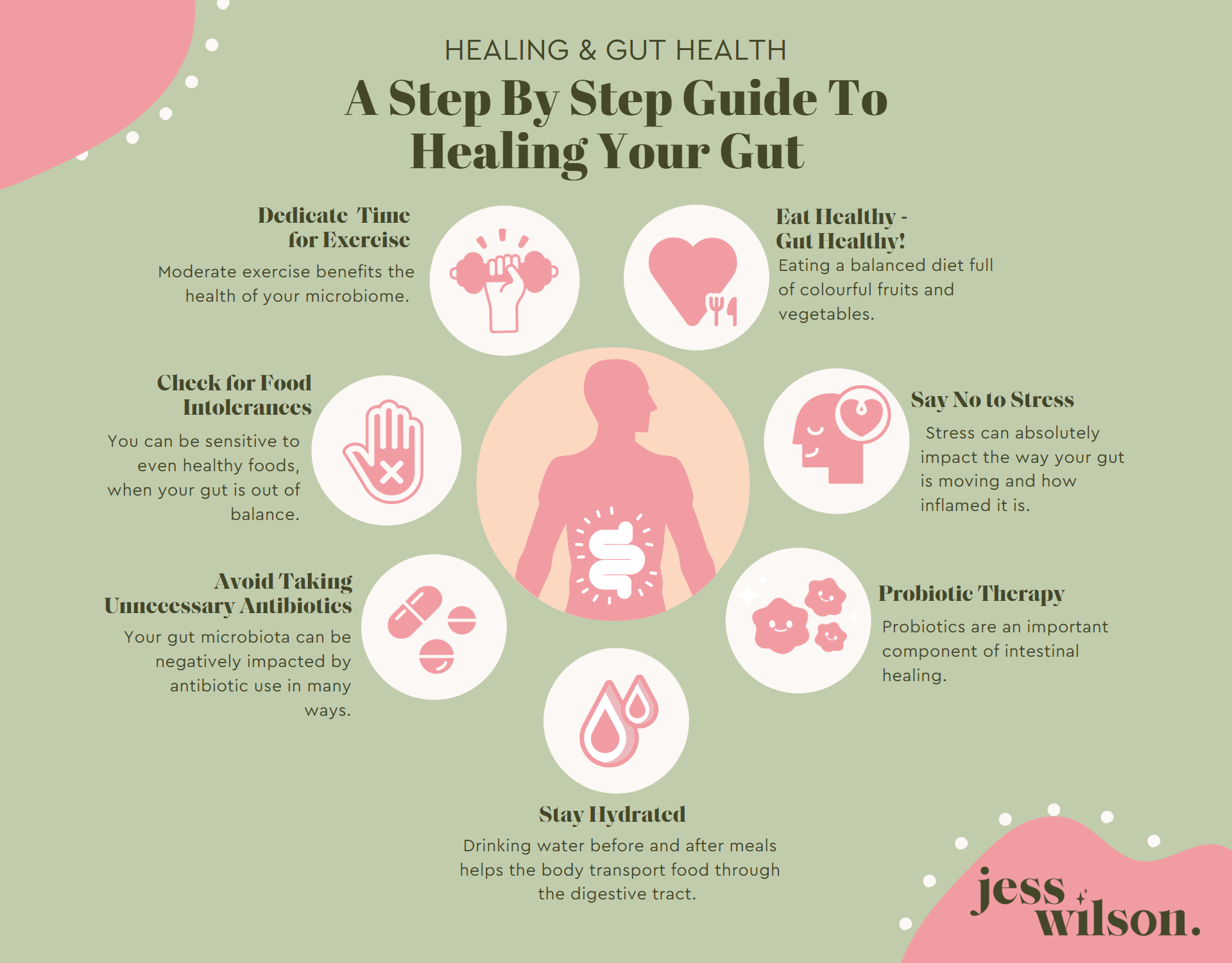 Gut Health for Recovery